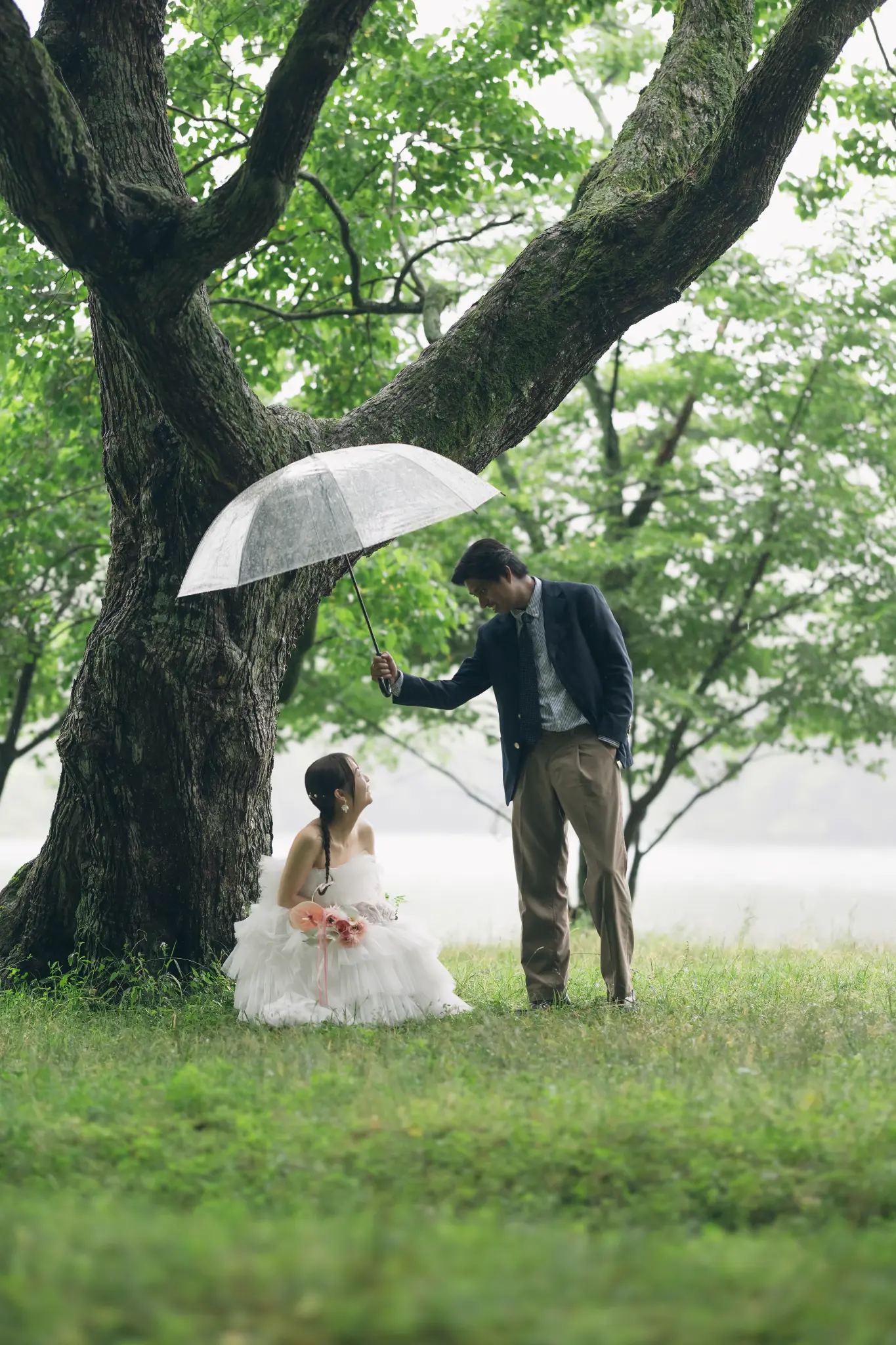 雨の日に大樹の下で寄り添うふたり